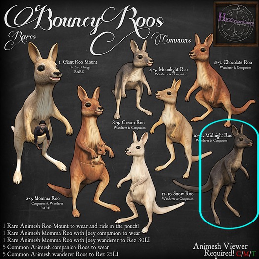 11. HEXtraordinary - Roo Companion - Midnight