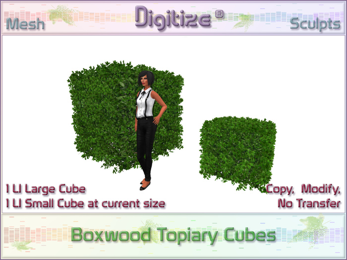 Digitize Boxwood Topiary Cubes
