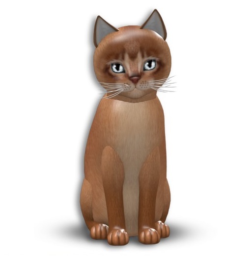 KittyCatS box - Abyssinian - Cinnamon