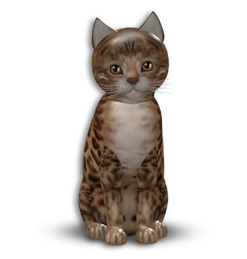 KittyCatS box - Bengal - Sorell
