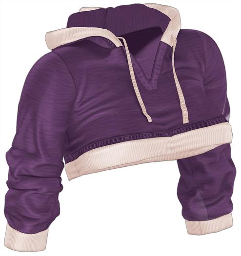 Kaithleen's Crop Hoodie - Purple