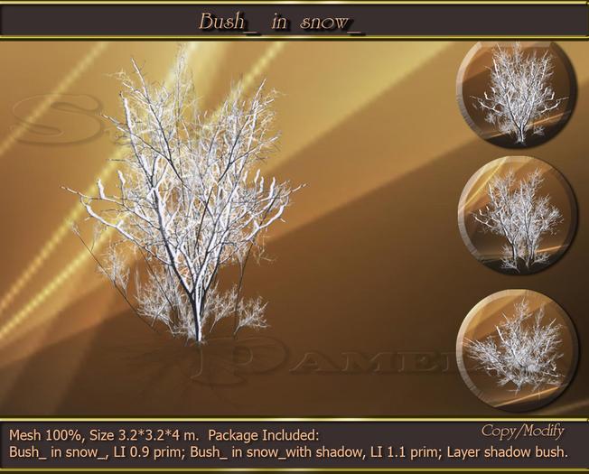 Bush_ in snow_ (BOX)