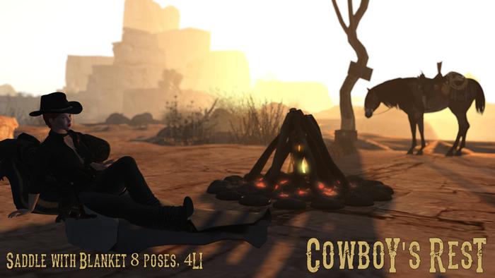ME_Saddle Cowboy's rest
