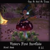 *(FFC)* Winter's First Snowflake  BOXED A