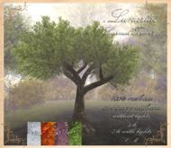.Lunaria. Seasonal Tree 01
