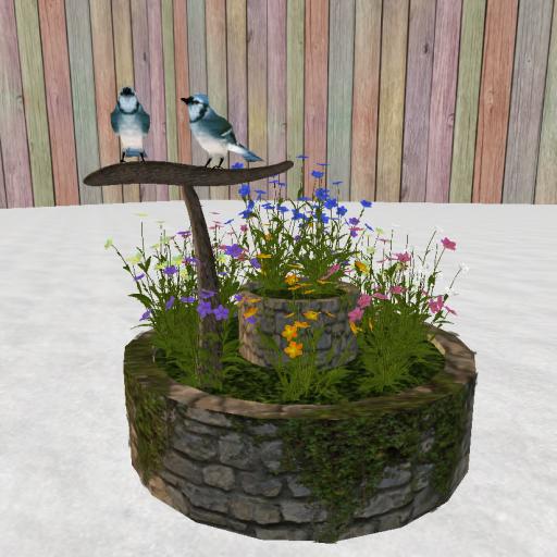 Blue Jays Sitting In Flower Garden Boxed