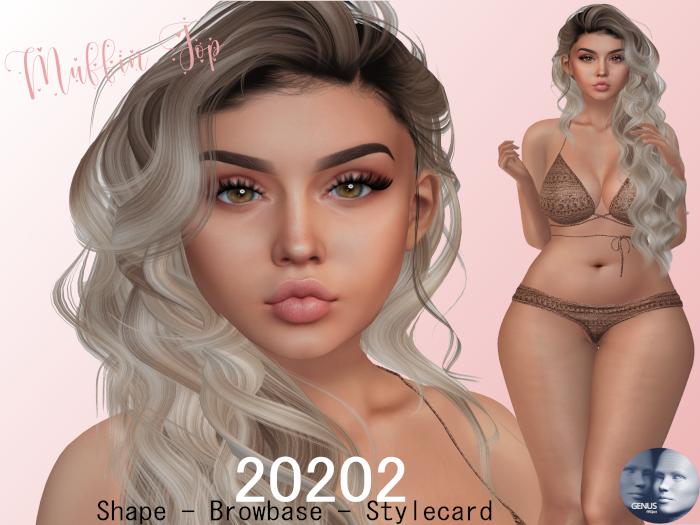 .MT. 20202 Shape