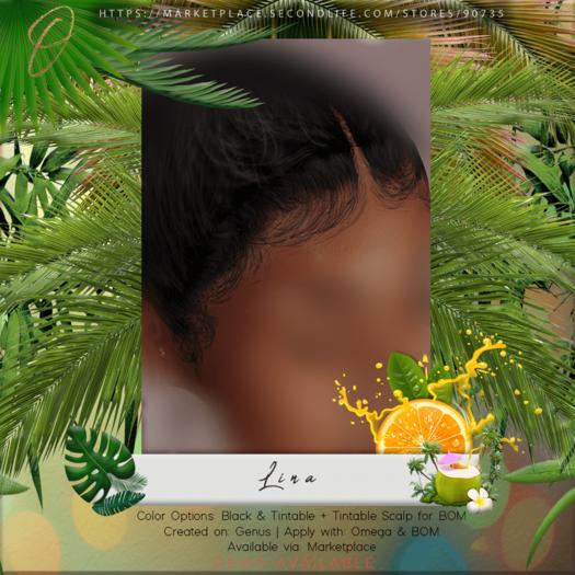 Ocular - Lina Hairbase