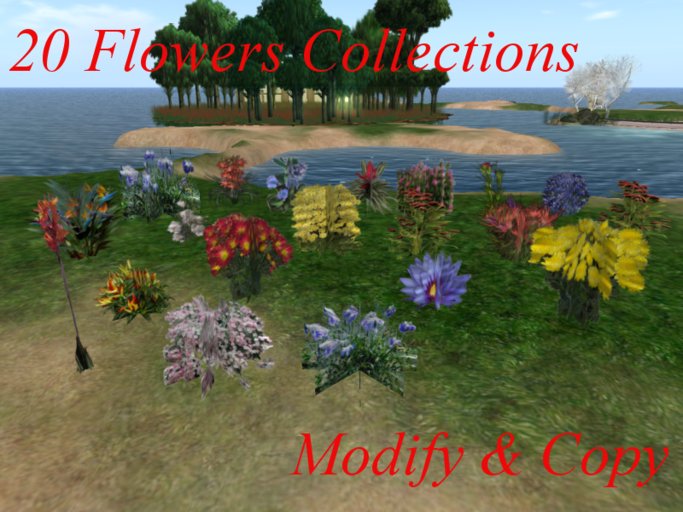 Flowers collection 1