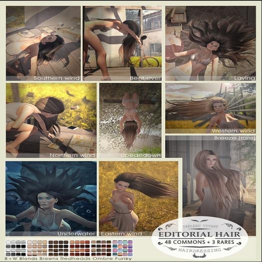 Tableau Vivant \\ Editorial \ Breeze - Pack 2 - RARE