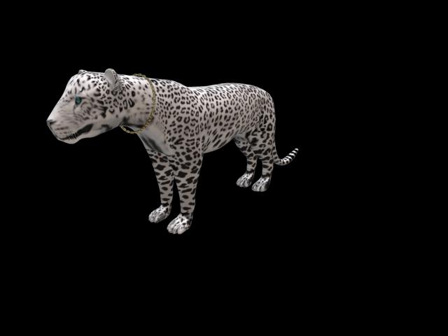 Animesh Snow Leopard (wander)