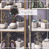 Dahlia - Tranquility - Fatpack