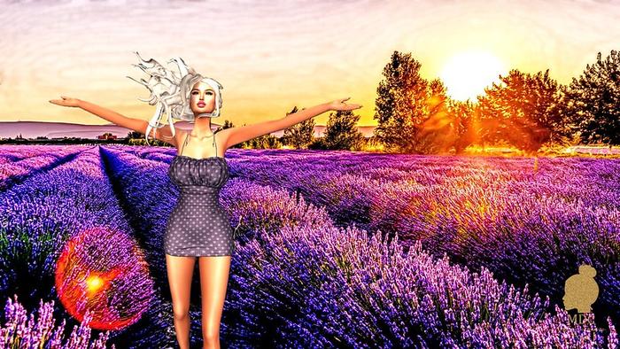 Happy walk - MDC Pose