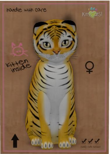 KittyCatS Box - Tiger! - Golden Ticket