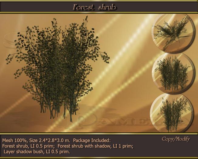 Forest shrub (BOX)