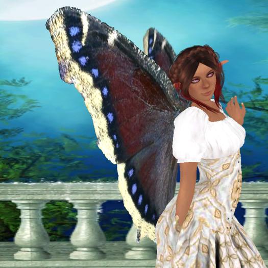 Butterfly Wings - Mourning Cloak