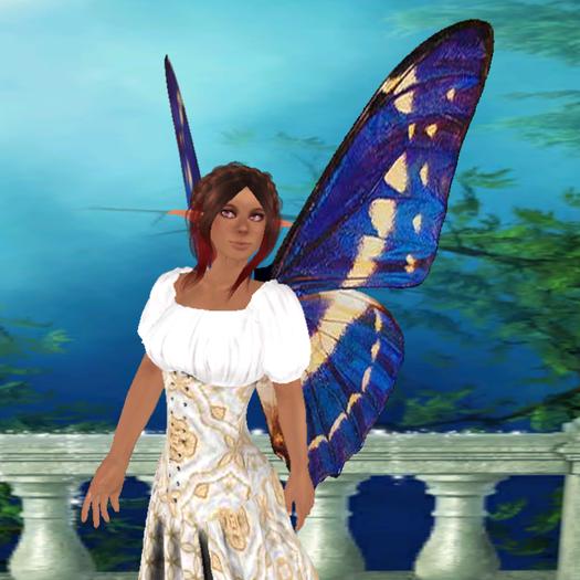 Butterly Wings - Jewel Blue