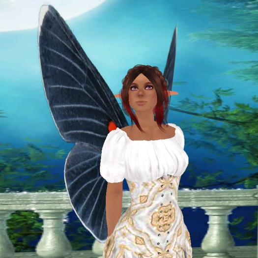 Butterly Wings - Black Taxco