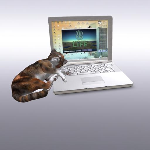 Laptop mit schlafendender Katze