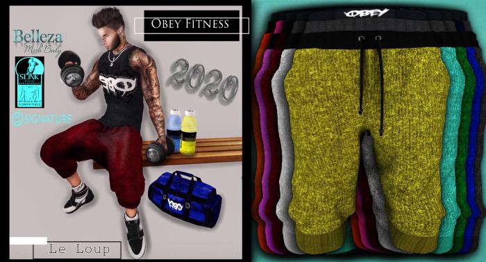 Obey Fitness Shorts Fatpack