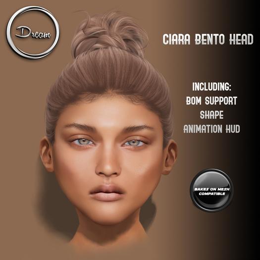 Dream - Ciara Bento Head Demo