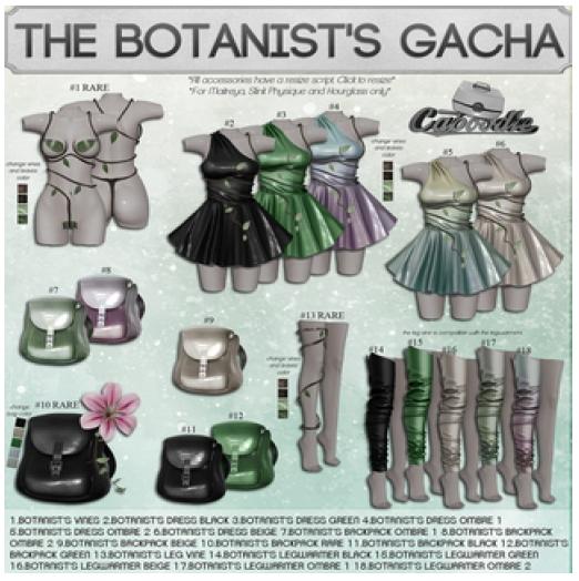 Caboodle - The Botanist's Leg Vine - Maitreya - RARE