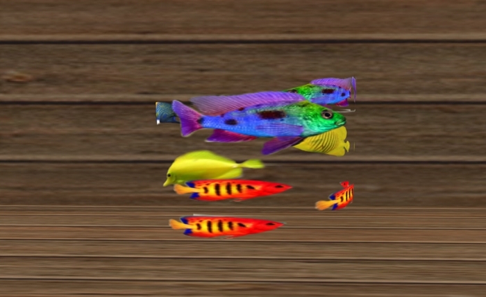 8 Tropical Rotating Fish !     Only 1 prim.