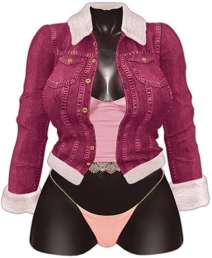 Kaithleen's Winter Denim Jacket - Red