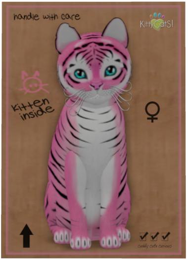 KittyCatS Box - Tiger! - Pinkie Winkie