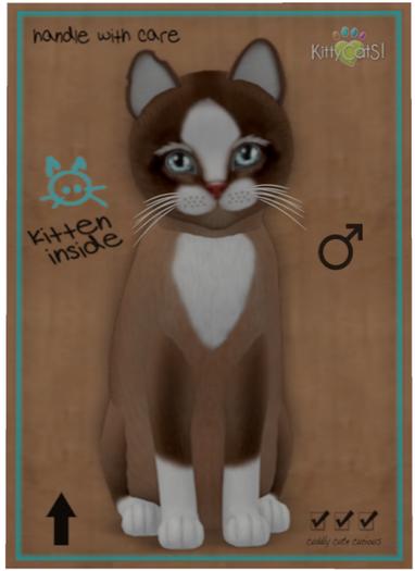 KittyCatS Box - Chateau Cat - Toffee Caramel