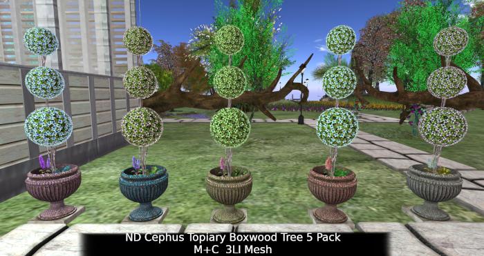 !_!ND Cephus Topiary Boxwood Trees Pack of 5 M+C