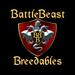 Bbb logo uning new crest and gold letters 2 copy
