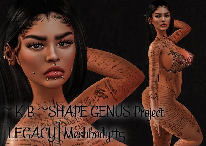 ~ K.B ~SHAPE GENUS Project [LEGACY] Meshbody#5