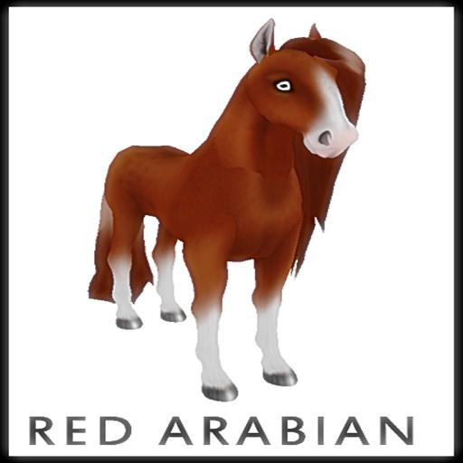 Amaretto Breedable Bundle - Female Red Arabian