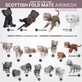 SEmotion Libellune Scottish Fold Mate Animesh #14