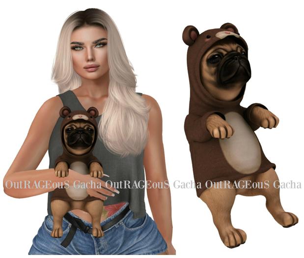 Birdy. Puggly {Bear}