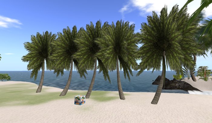 Palm Tree Box Fiji 6 prim flex (mod)
