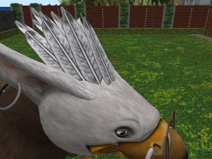 Feathertop-Gryphon