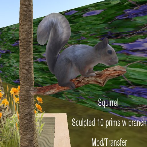 *ACF* Squirrel on tree branch (mod/trans)