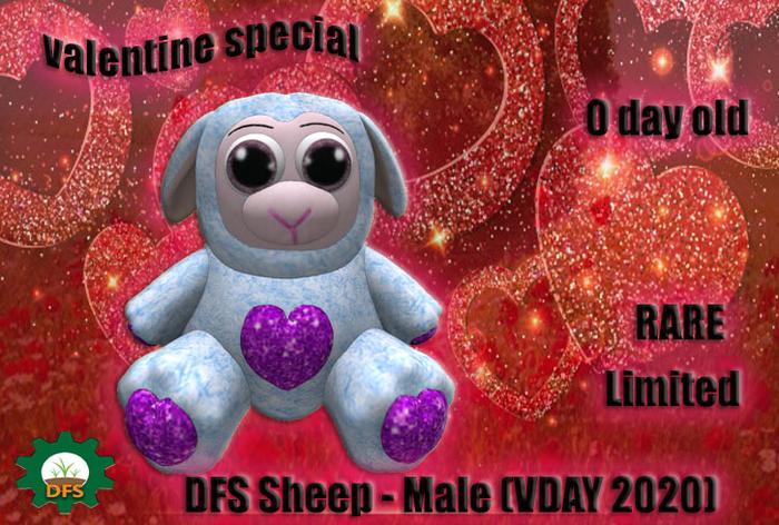 DFS Sheep - Male (VDAY 2020)