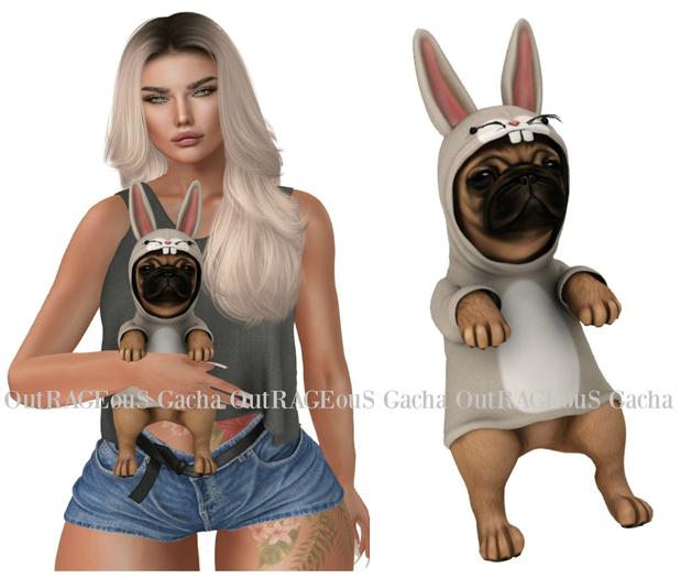 Birdy. Puggly {Bunny} - RARE