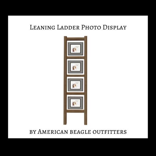 ABO - Leaning Ladder Photo display - oak