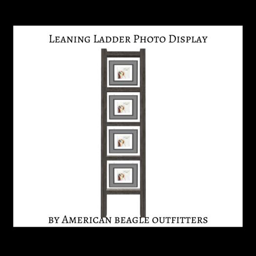 ABO - Leaning Ladder Photo display -  sunbleached