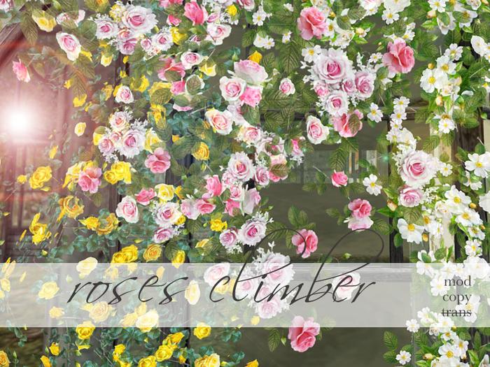Samsa . Roses climber fatpack 1.2