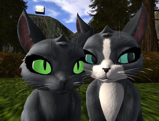 *PP* Maneki Neko Porcelain Eyes