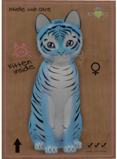 KittyCatS Box - Tiger! - Powder Blue