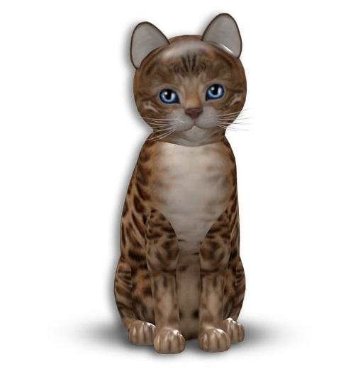KittyCatS box - Bengal - Sorell