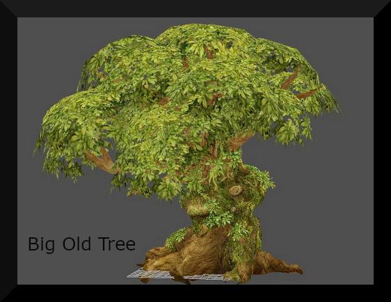 Big Old Tree   