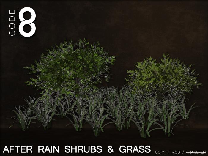 ::Code 8:: After Rain Shrubs & Grass