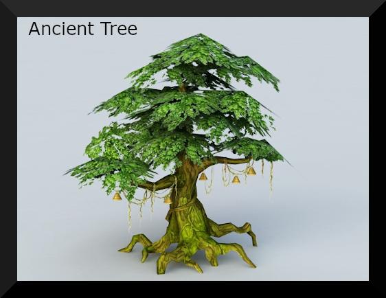 Ancient Tree  P6